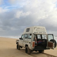 Thinking about Koala’s Backpackers?  Think Again.