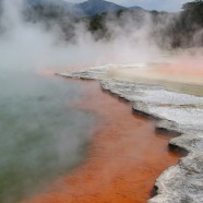 Why we loved New Zealand.
